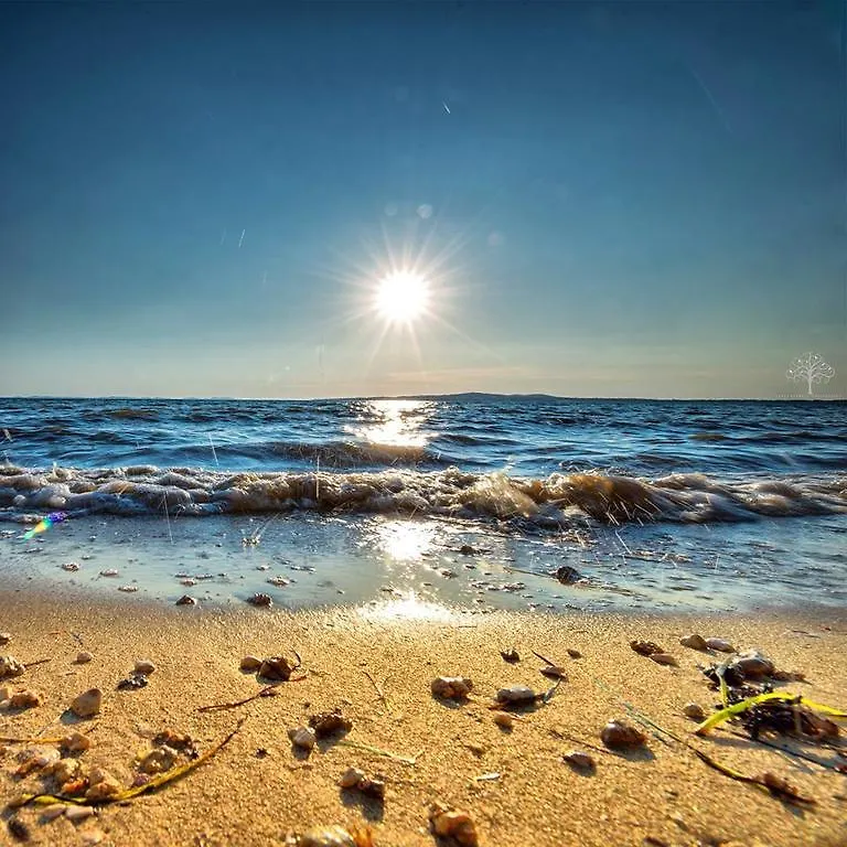 Beachfront Skoblar Holiday Home With Seaview Privlaka   Privlaka (Zadar)