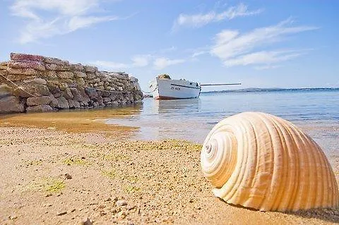 Beachfront Skoblar Holiday Home With Seaview Privlaka  Croatia