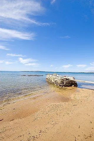 Beachfront Skoblar Holiday Home With Seaview Privlaka