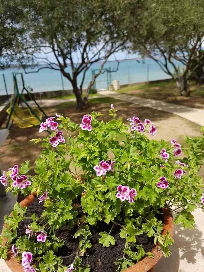 Beachfront Skoblar Holiday Home With Seaview Privlaka  0*, Privlaka (Zadar)